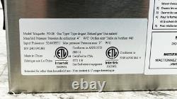 NSF New Commercial Double Deck Pizza Oven Natural Gas